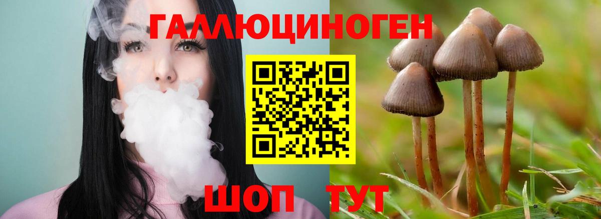 Псилоцибиновые грибы мухоморы Жуковский